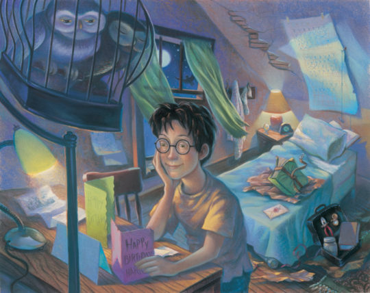 Harry Potter Illustration