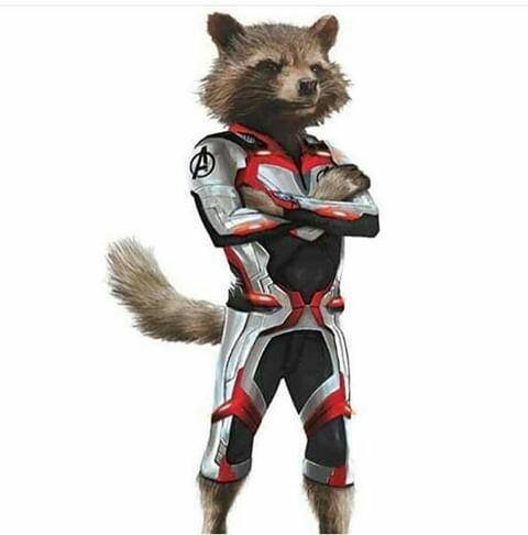 http://www.appocalypse.co/wp-content/uploads/2018/11/Avengers-4-Quantum-Realm-Suits-Rocket-Raccoon.jpg