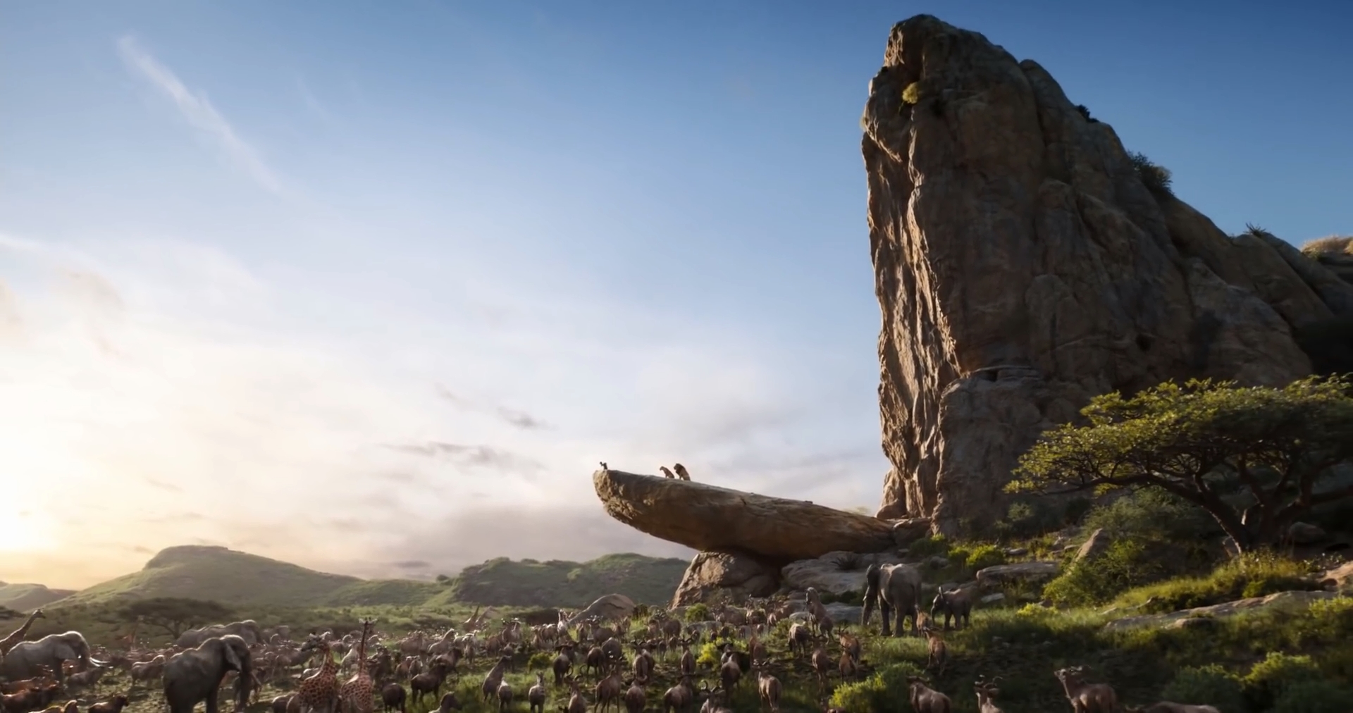 The Lion King Teaser Still Simba's Crowning