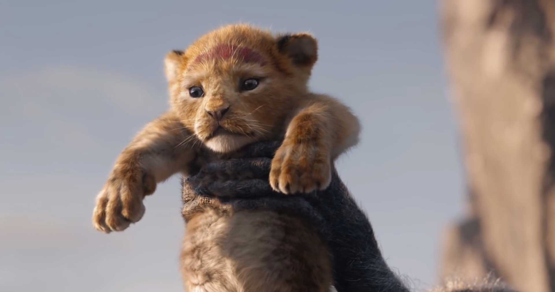 The Lion King 2019 Still - Simba Circle of Life