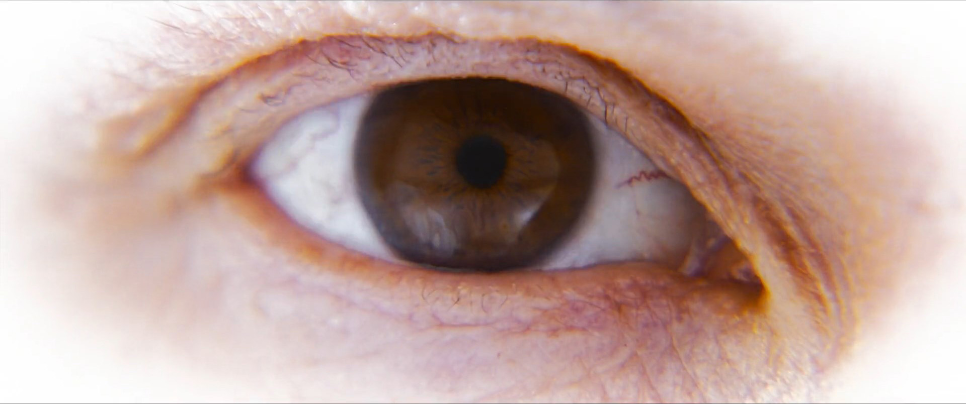 The Matrix Resurrections Still 12 Eye Pupil Dilating